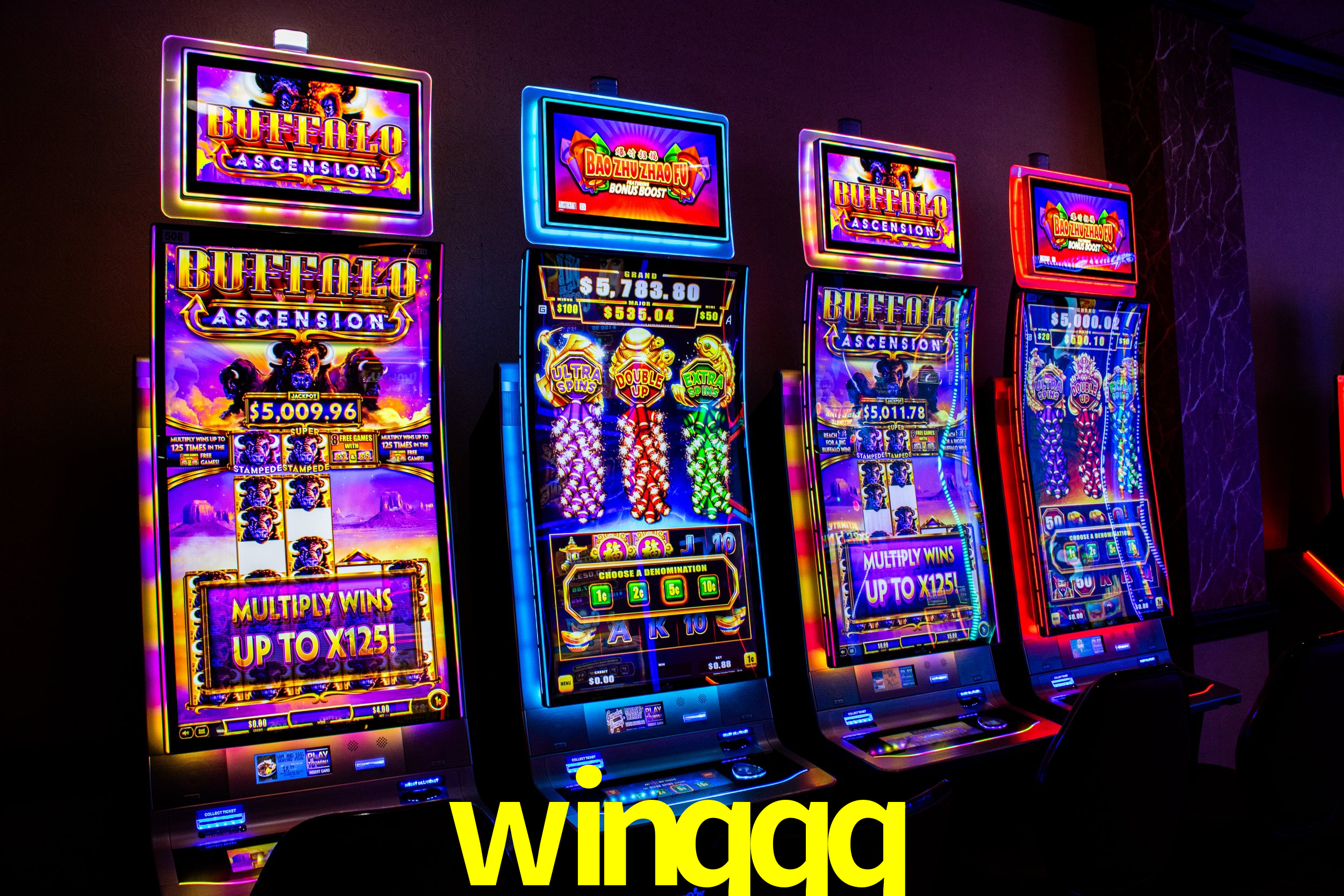 Live Casino winqqq