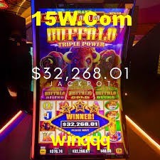 Experiência VIP winqqq